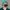 milad-b-fakurian-OYZxrgnitBo-unsplash Benito Camela