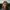 stefan-stefancik-QXevDflbl8A-unsplash Lola Mento