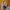 valerie-elash-JQDflNNnrEE-unsplash Elba Lazo